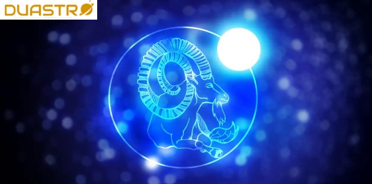 Capricorn: The Ambitious Trailblazer 